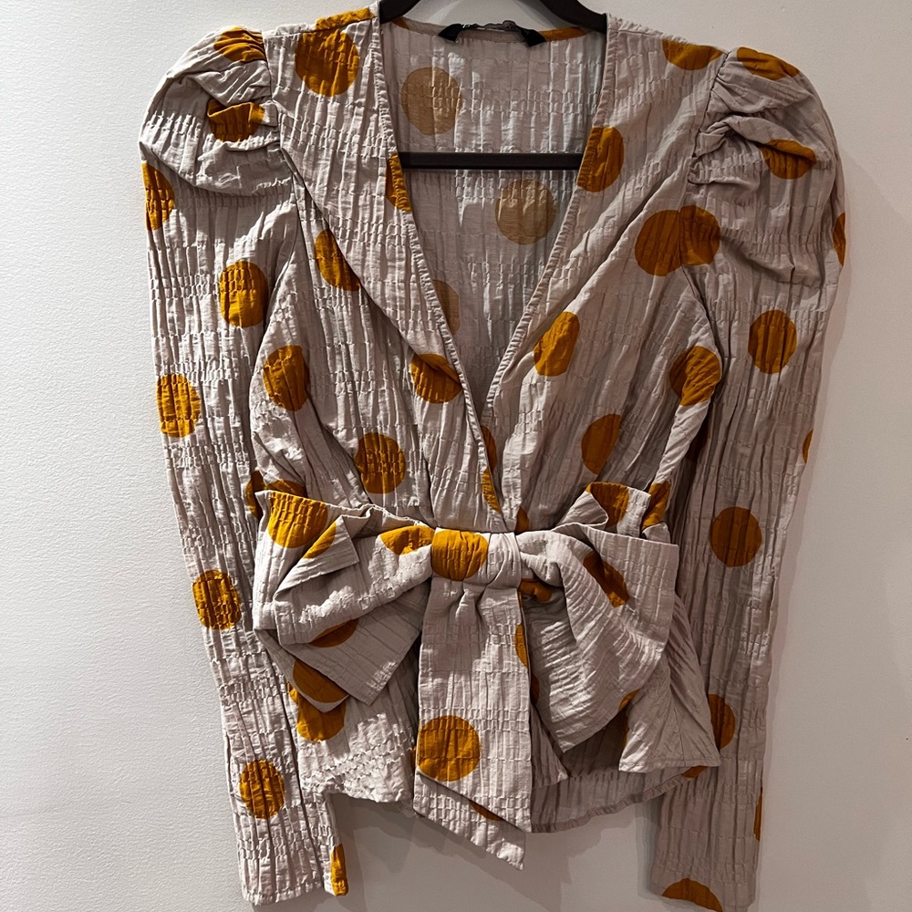 Zara Polka Dot Deep-V Blouse